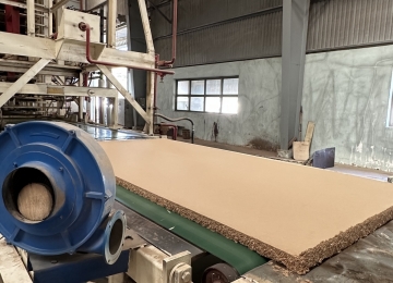 Particle Board production process of Minh Tri Wood Processing Co, Ltd