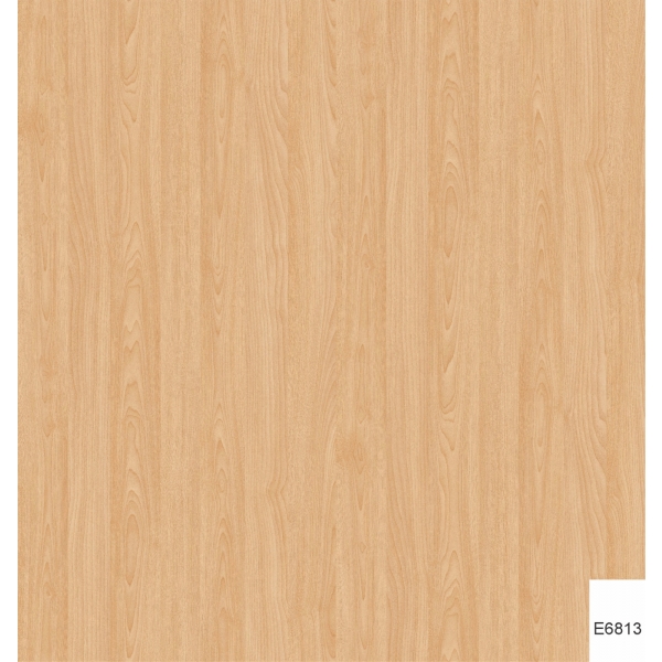 VÁN PHỦ MELAMINE E6813